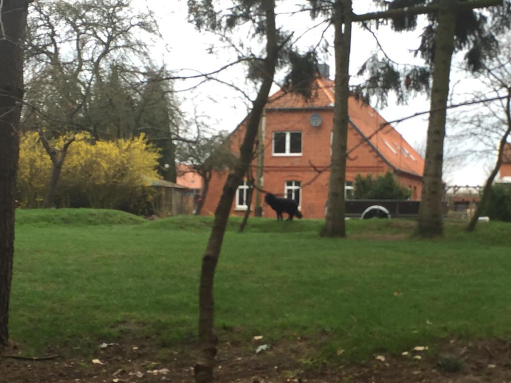 Ferienwohnung Garten Eben Rullstorf Extérieur photo